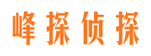 肃南市调查公司